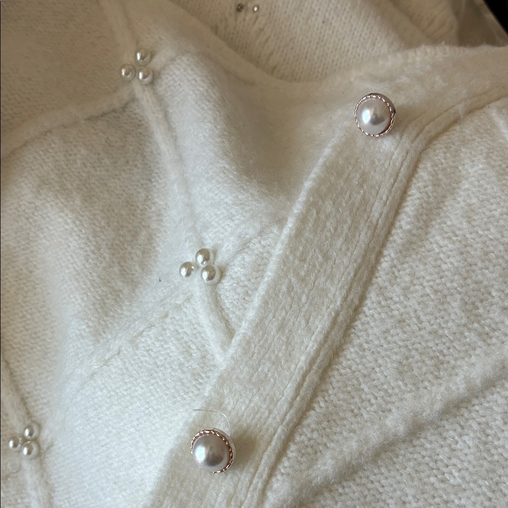 Pearl Embroidered Ivory Sweater Set - Picture 5 of 5